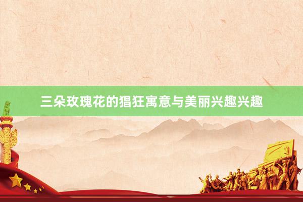 三朵玫瑰花的猖狂寓意与美丽兴趣兴趣